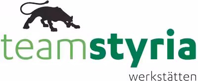 Team Styria Logo
